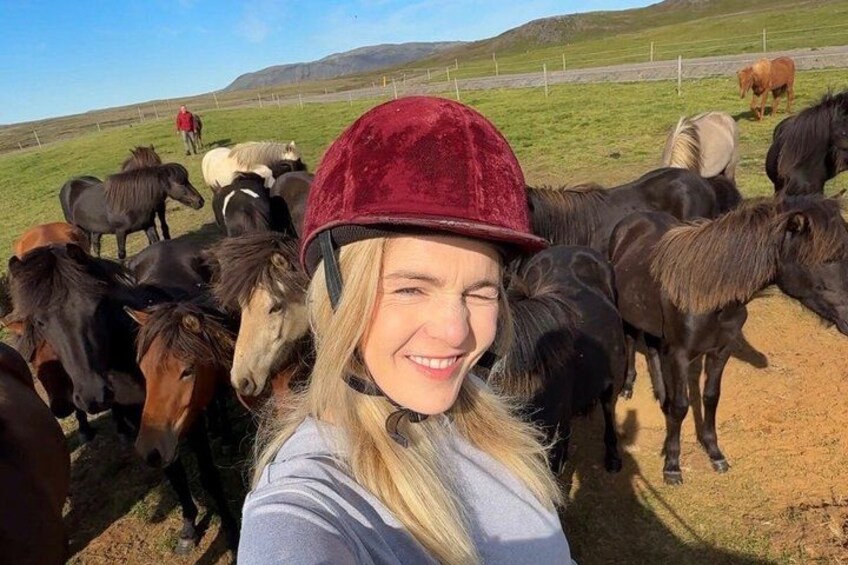 A person with a red hat surrounded by horses in a grassy field with a fence and hills in the background. 5