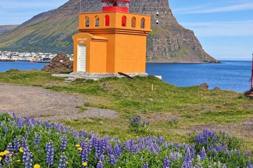 A lighthouse with a red top, surrounded by purple and yellow flowers, and a mountain in the background. 5