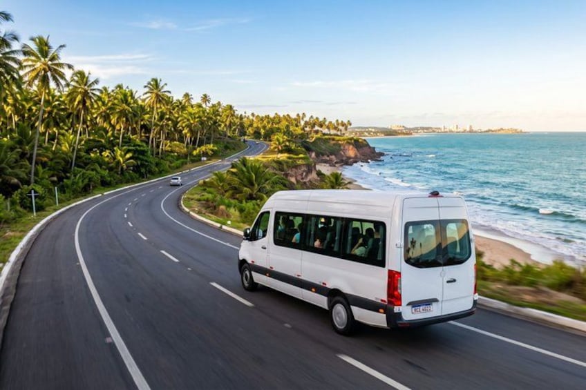A white van driving on a coastal road with palm trees and the ocean in the background. 4