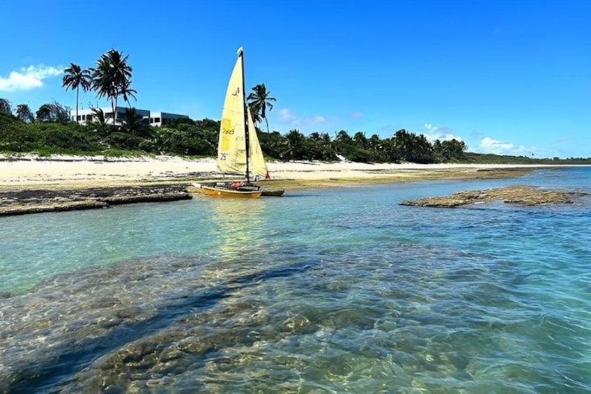 A clear blue sea with a sailboat, sandy beach, palm trees, and a distant shoreline. 5