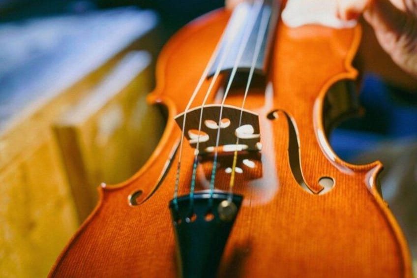 A violin with a wooden body and a black neck, held by a person. 2