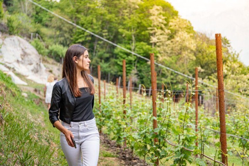 Lake Como Classic Wines and Local Delicacies in the Vineyards 5