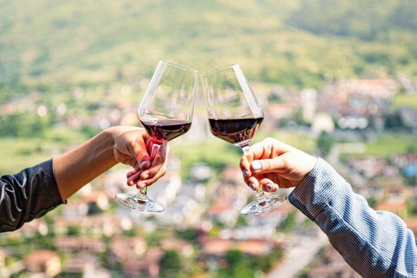 Lake Como Classic Wines and Local Delicacies in the Vineyards 2