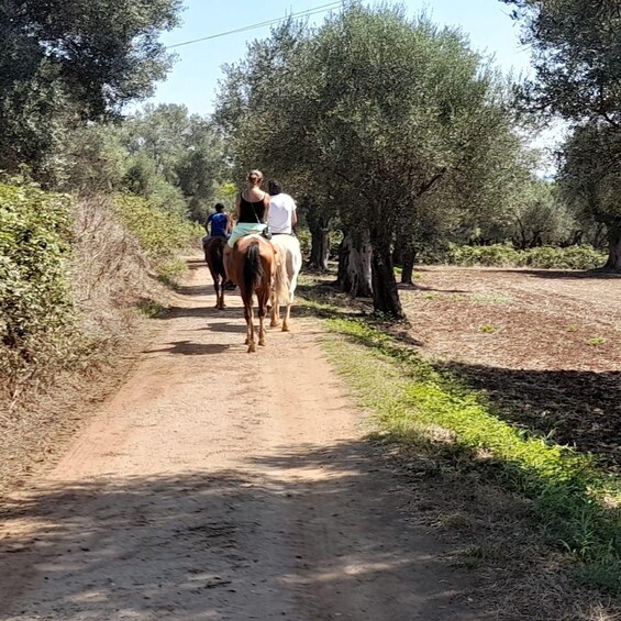 A dirt path with people riding horses. 5