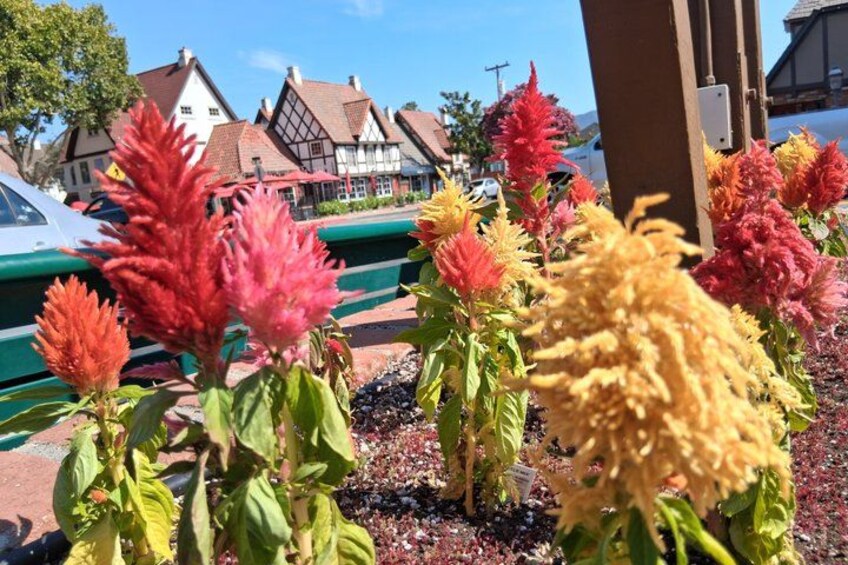 A garden with colorful flowers, a green fence, and houses in the background. 3