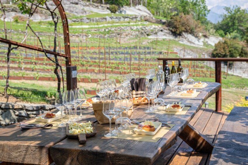Wine Tasting at Family Vineyard on Lake Como 1