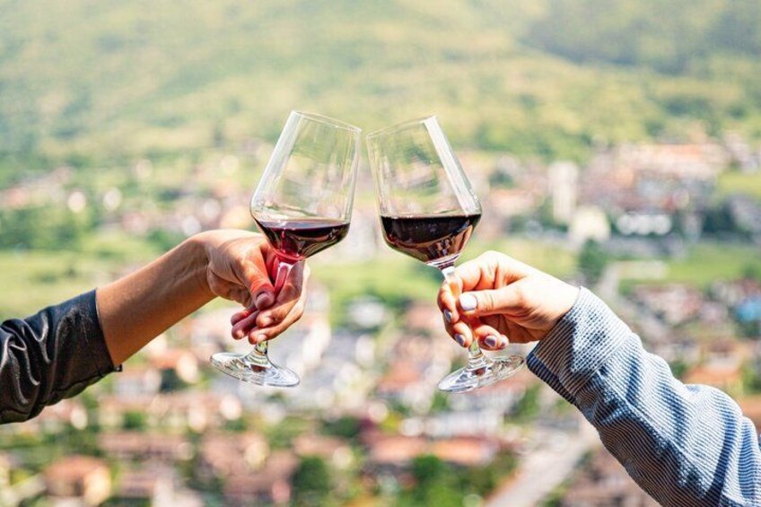 Wine Tasting at Family Vineyard on Lake Como 2