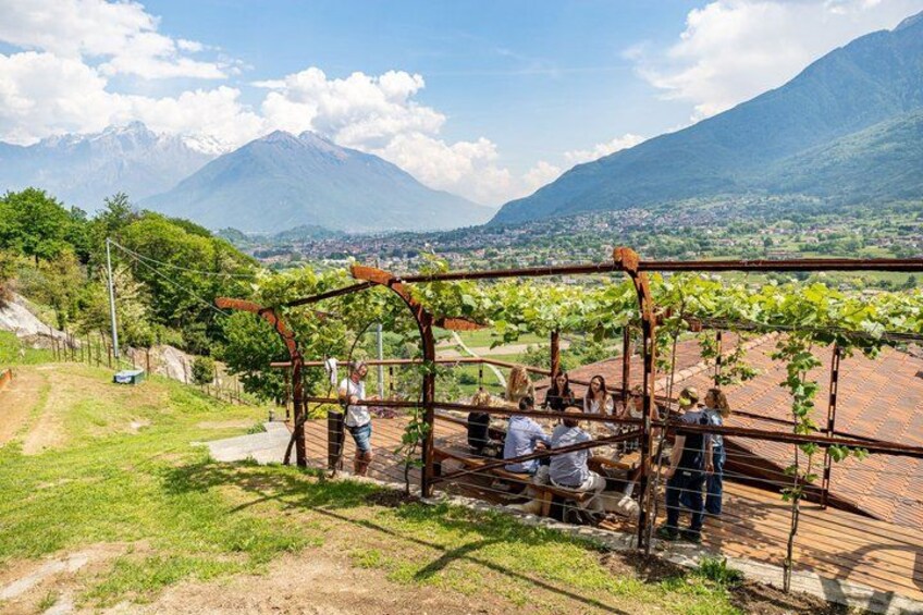 Wine Tasting at Family Vineyard on Lake Como 5
