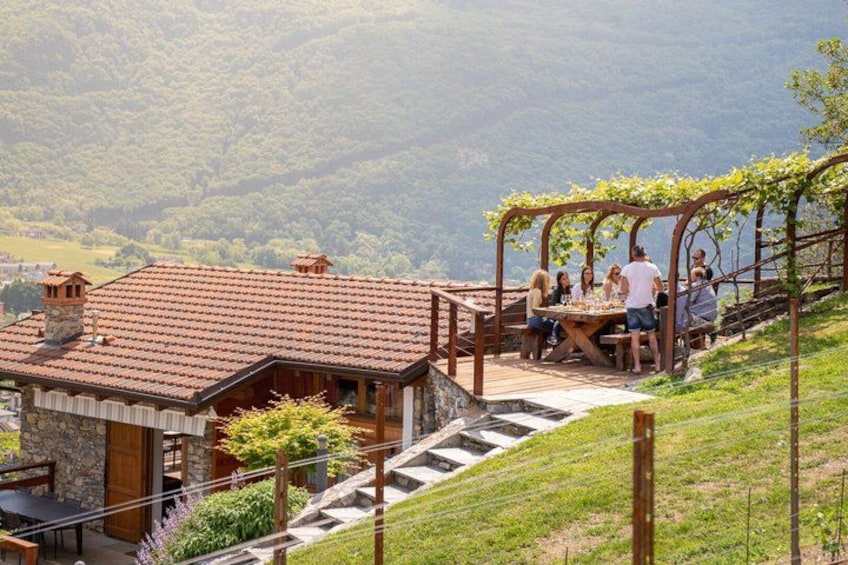 Wine Tasting at Family Vineyard on Lake Como 4