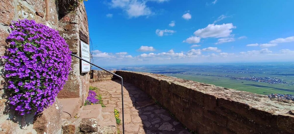 A stone wall with a sign, a flower bed with purple flowers, and a view of a distant landscape. 1