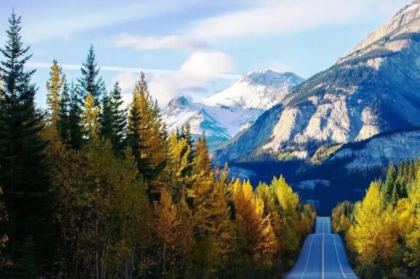 A road through a forest with autumn-colored trees and mountains in the background. 1