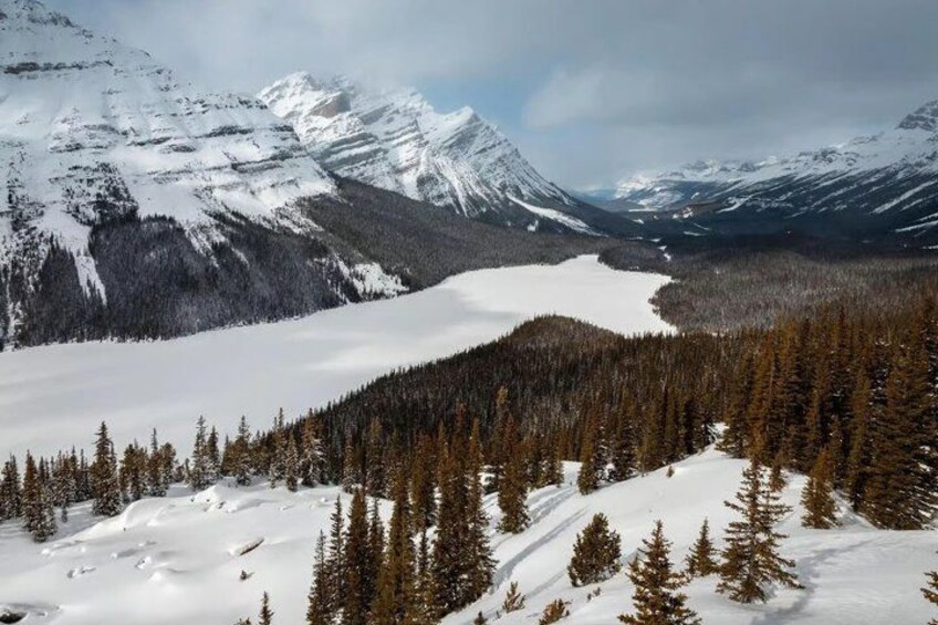 A snow-covered mountain landscape with a lake and dense forest. 5