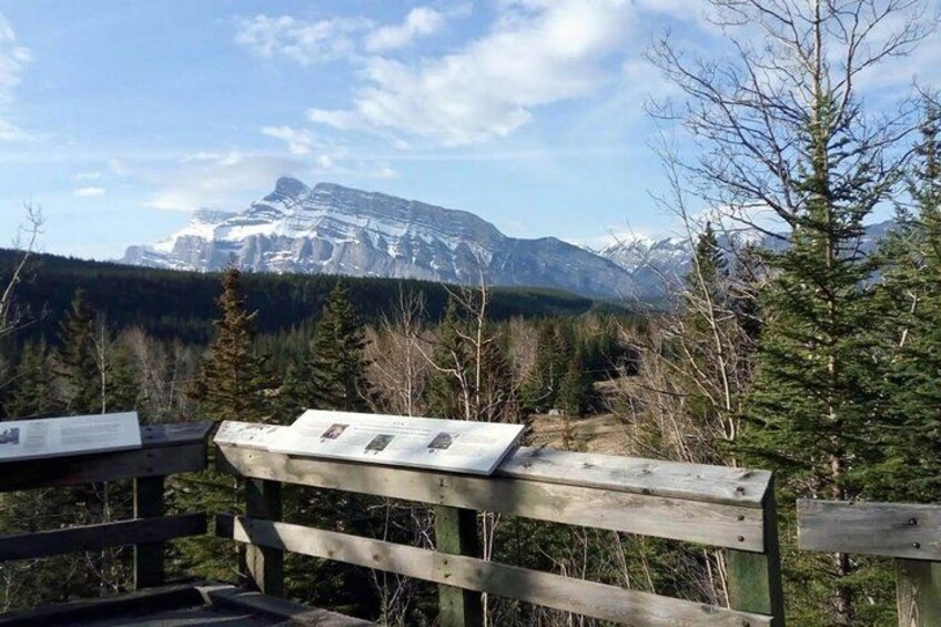 A wooden bench with informational signs, a forested area, and a mountain range in the background. 3