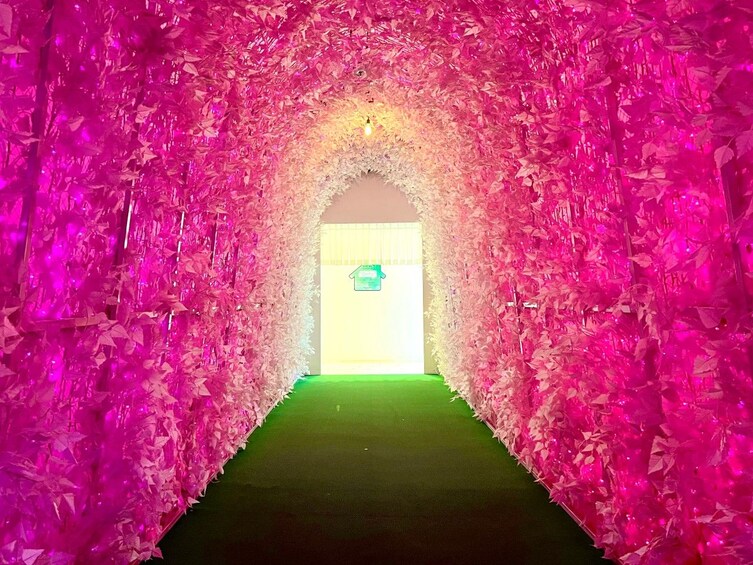 A tunnel with pink foliage walls and a green carpet. 1