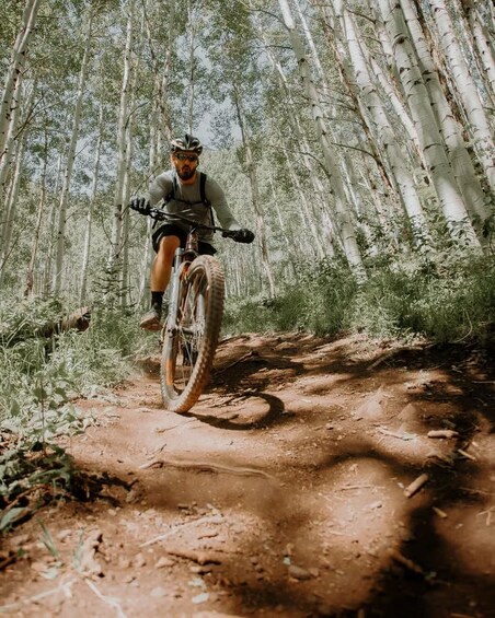 Un ciclista de montaña en un sendero de tierra rodeado de abedules. 3