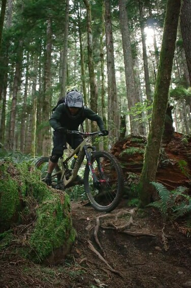 Una persona practica ciclismo de montaña en un bosque. 4