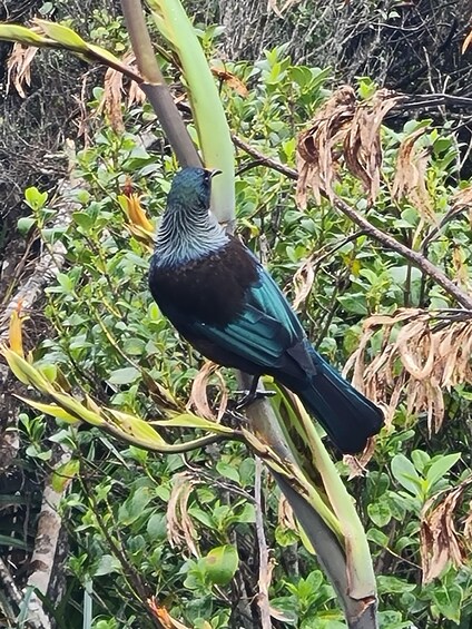 Un pájaro posado en una rama. 1