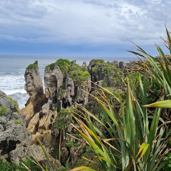 Un paisaje costero con formaciones rocosas y vegetación. 5