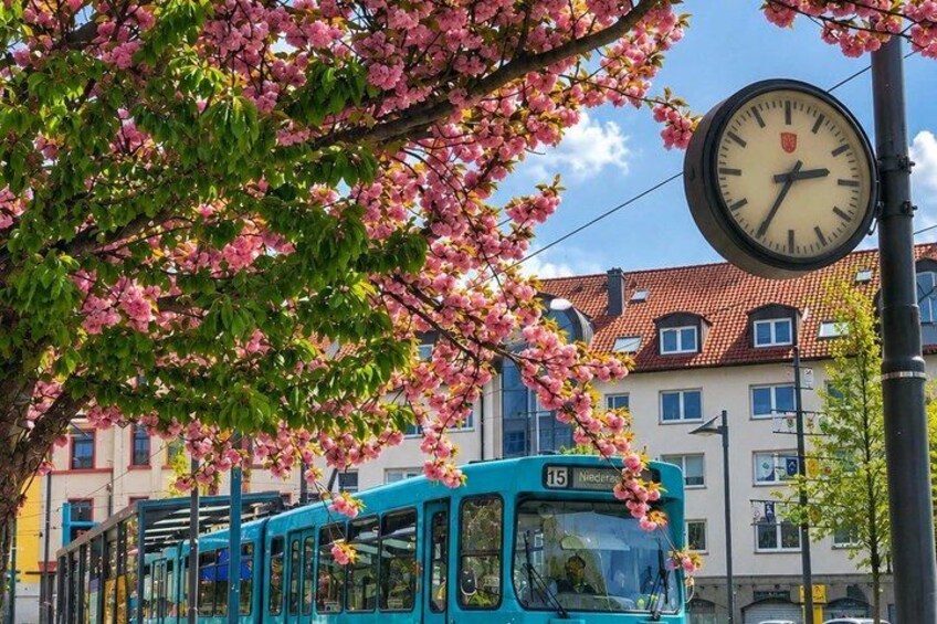 A blue tram with the number 15, a clock, and cherry blossom trees. 3