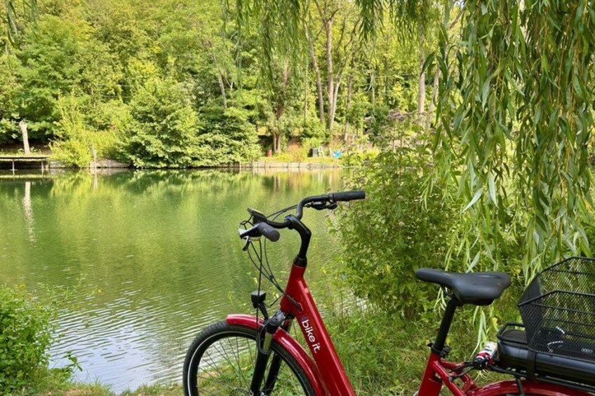 A red bicycle parked by a calm lake surrounded by lush greenery. 2