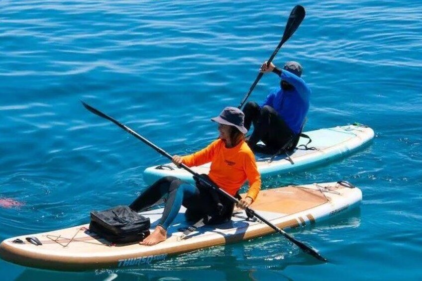 Two people kayaking on a calm blue sea. 5
