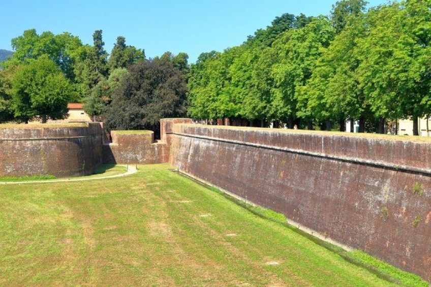 A grassy area with a brick wall and trees in the background. 2
