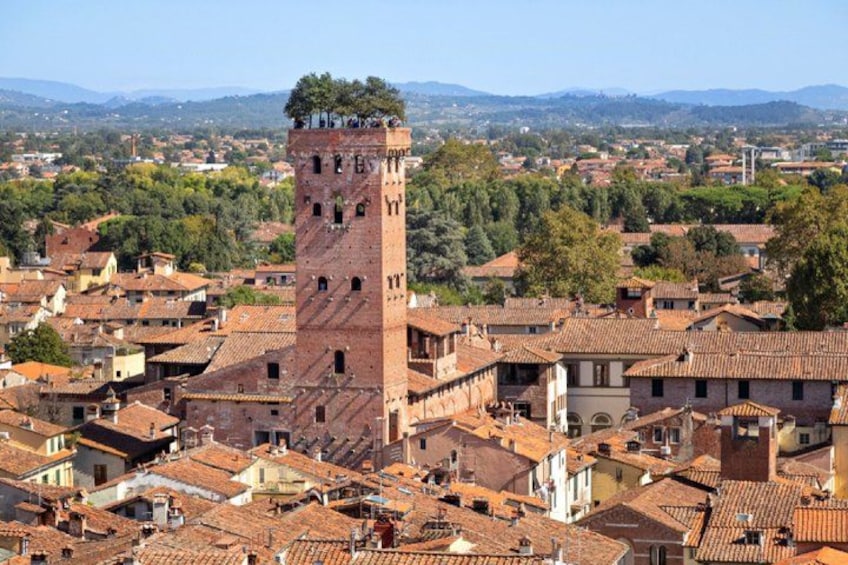A historic tower with a tree on top, surrounded by traditional buildings with red-tiled roofs. 4