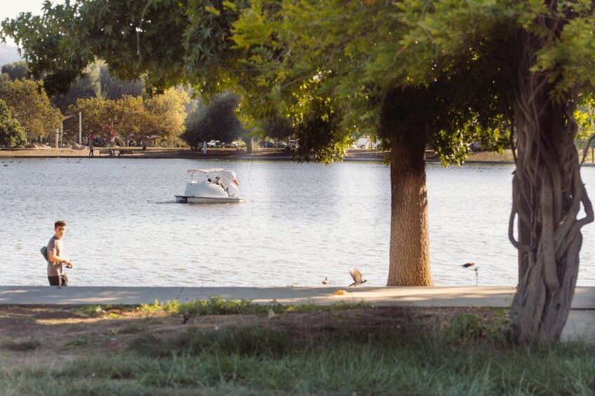A lake with a boat, a person fishing, and a large tree. 3