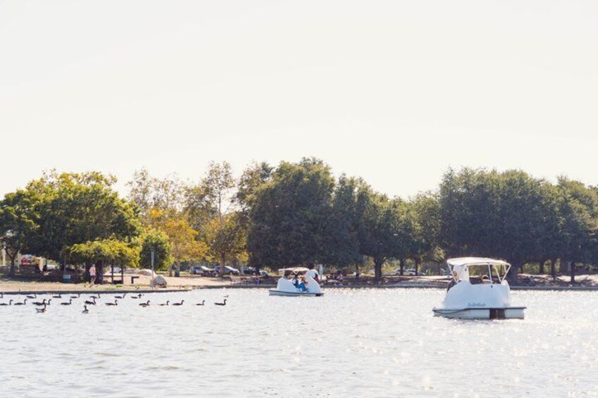 A calm lake with boats and ducks. 1
