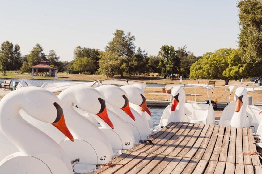 A row of swan-shaped boats on a wooden dock by a calm body of water. 4