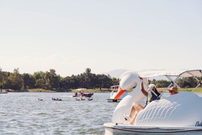 A swan-shaped boat on a lake with people on board, surrounded by other boats and a forested shoreline. 5