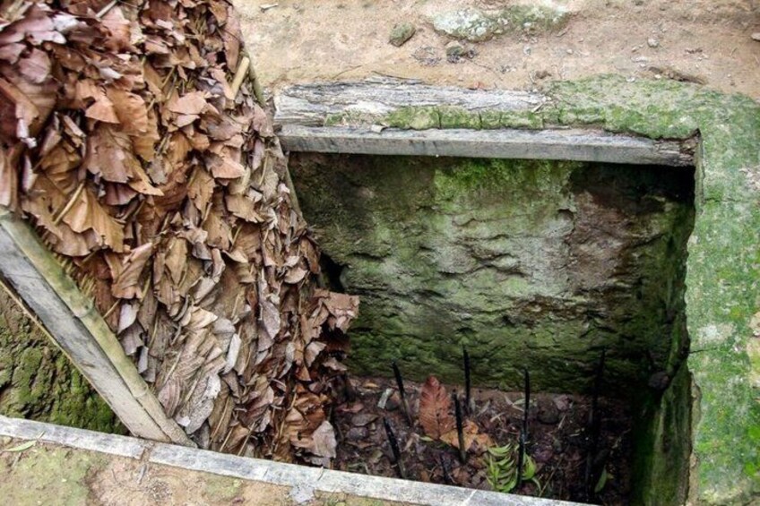 A wooden structure with a moss-covered exterior, a pile of dry leaves, and a small plant at the base. 4
