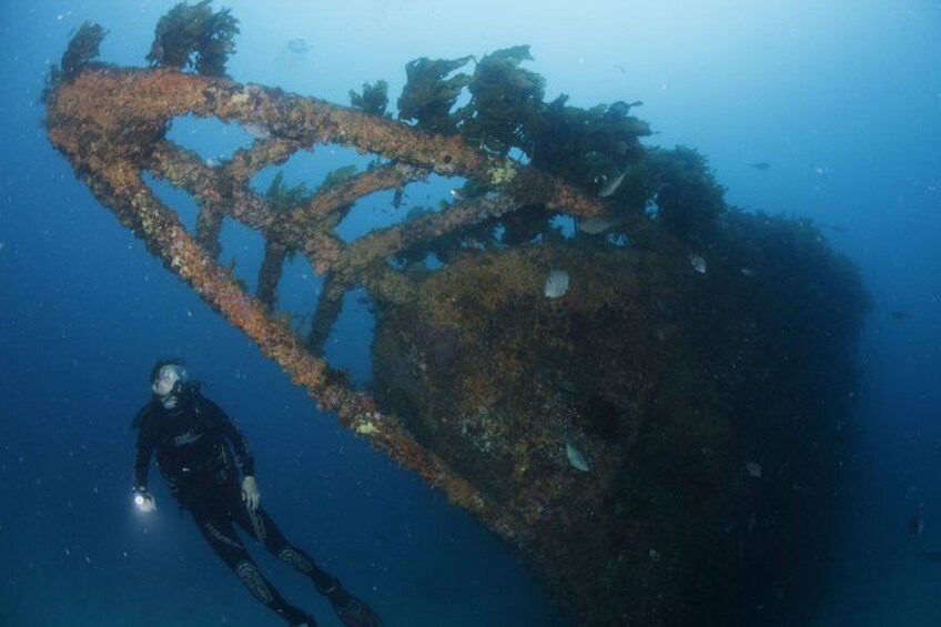 A diver exploring a sunken shipwreck underwater. 1