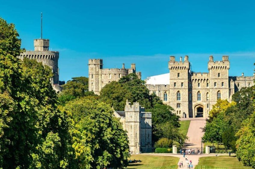 A large castle-like building surrounded by trees and a clear sky. 1