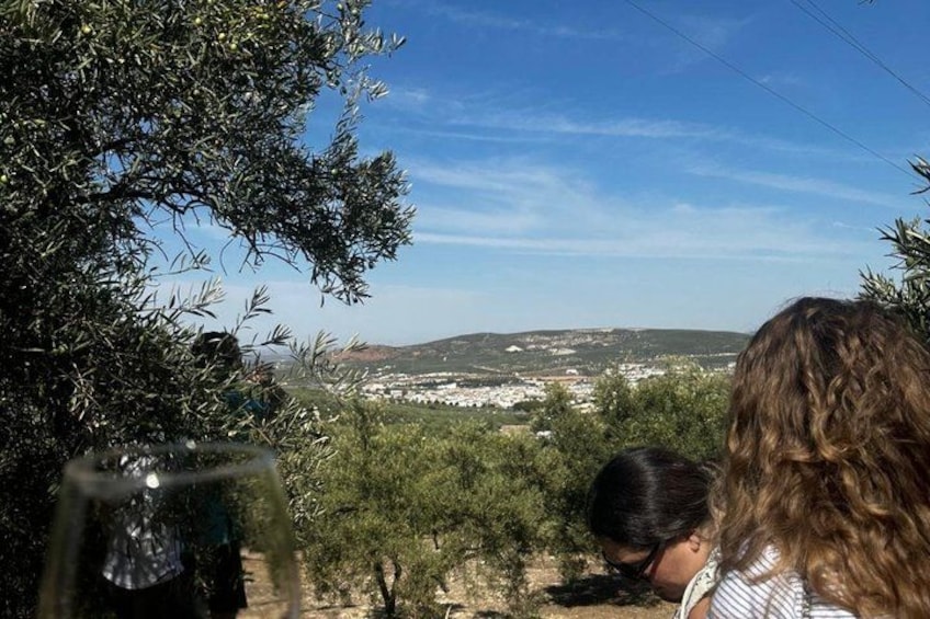 A person sitting at a table with a view of a town and hills in the background. 2