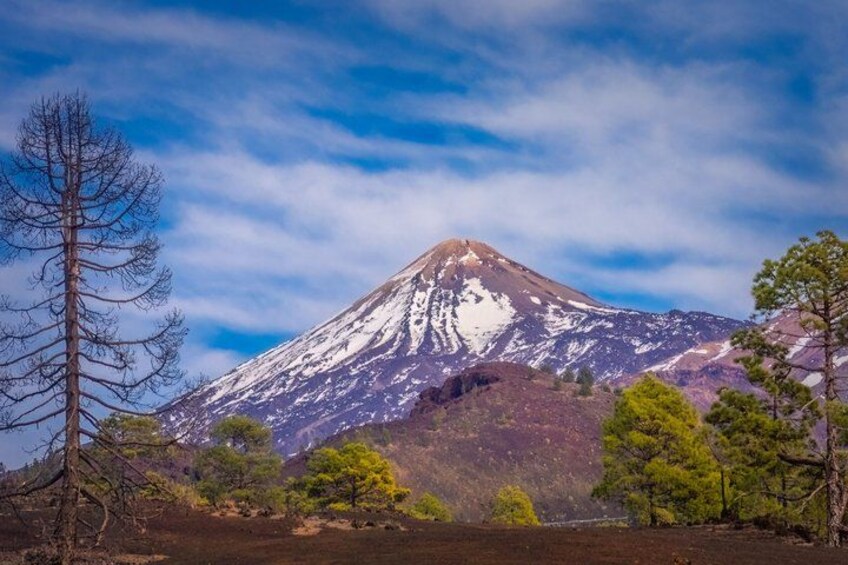 A snow-capped mountain, a clear sky, and a forested foreground. 4