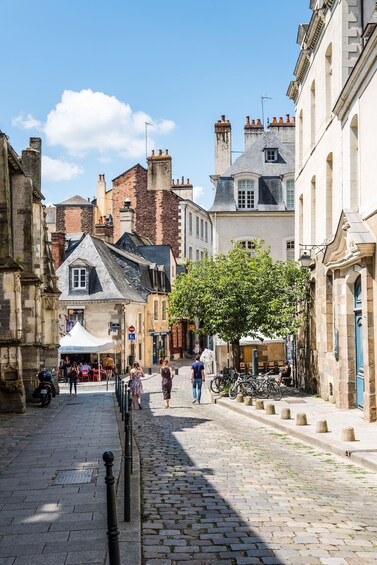 A cobblestone street lined with historic buildings, a tree-lined sidewalk, and a few pedestrians. 3