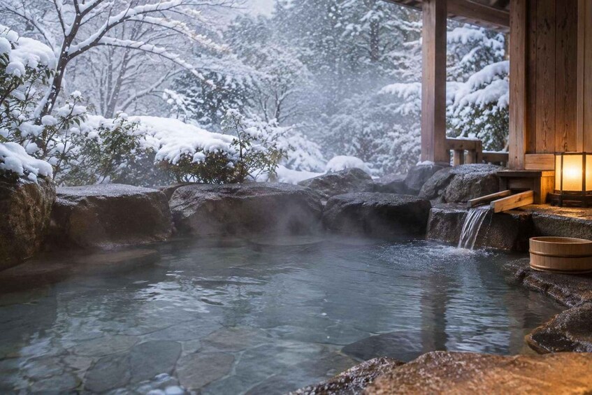 Picture 5 for Activity From Tokyo: Private Hakone Day Trip 3