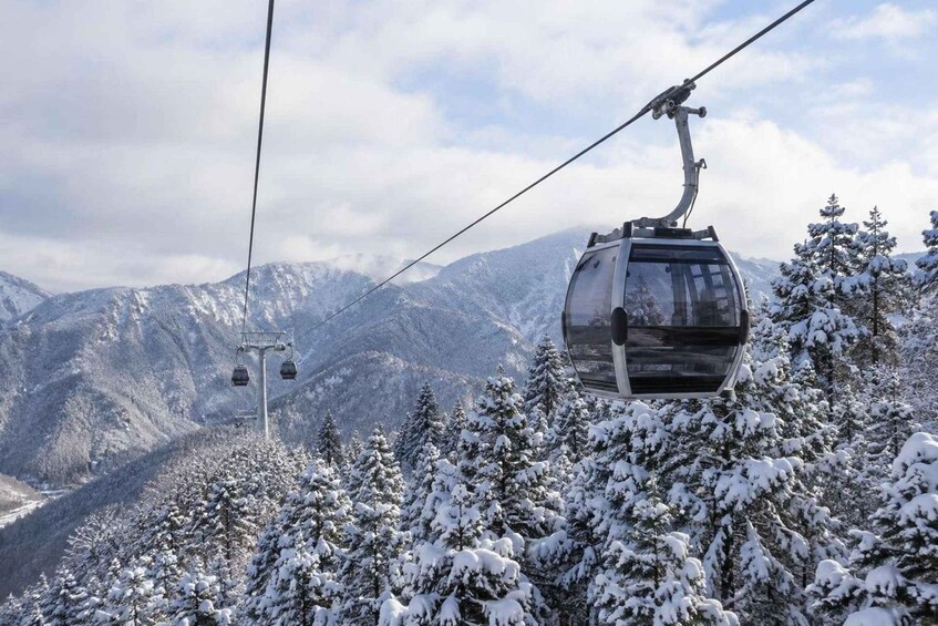 Picture 7 for Activity From Tokyo: Private Hakone Day Trip 4