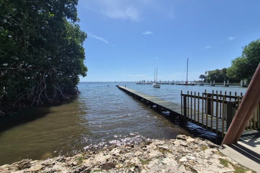 A calm waterfront with a dock extending into the water, surrounded by dense mangrove trees. 2