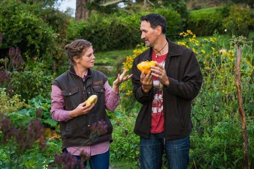 Two people in a garden holding vegetables. 5
