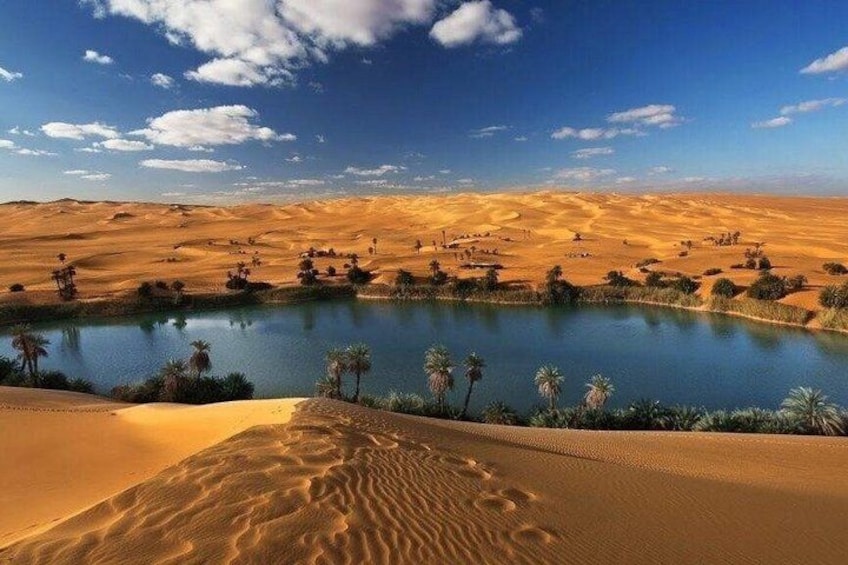 A desert landscape with sand dunes, a body of water, and palm trees. 5