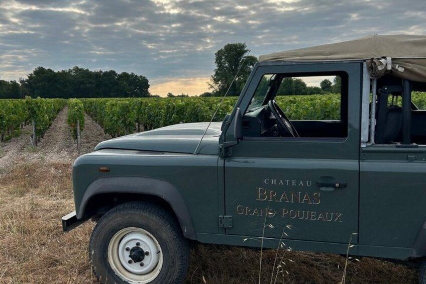 A green vintage car parked in a vineyard. 3