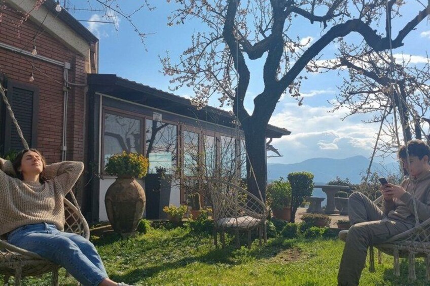A person relaxing on a hammock, a house with a brick facade, and a tree with blossoms. 5