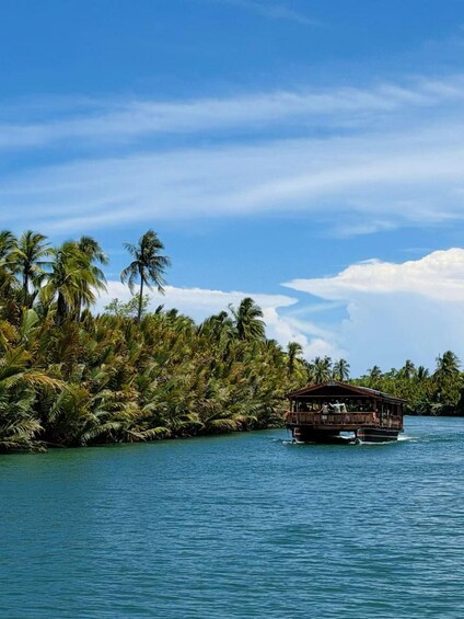 A boat on calm water surrounded by lush palm trees under a clear sky. 2