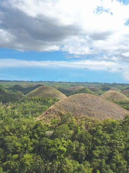 A landscape with rolling hills covered in dense vegetation and a partly cloudy sky. 3