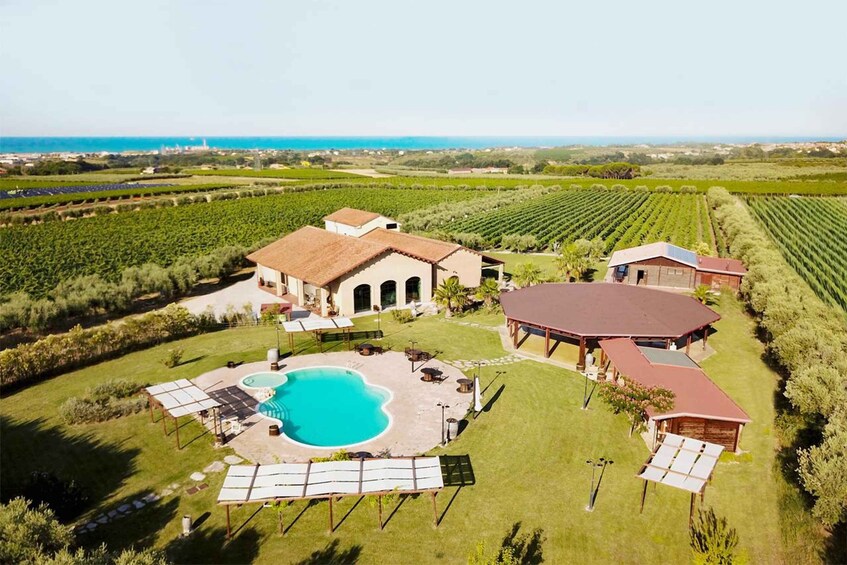 A large estate with a swimming pool, outdoor seating, and vineyard fields. 2