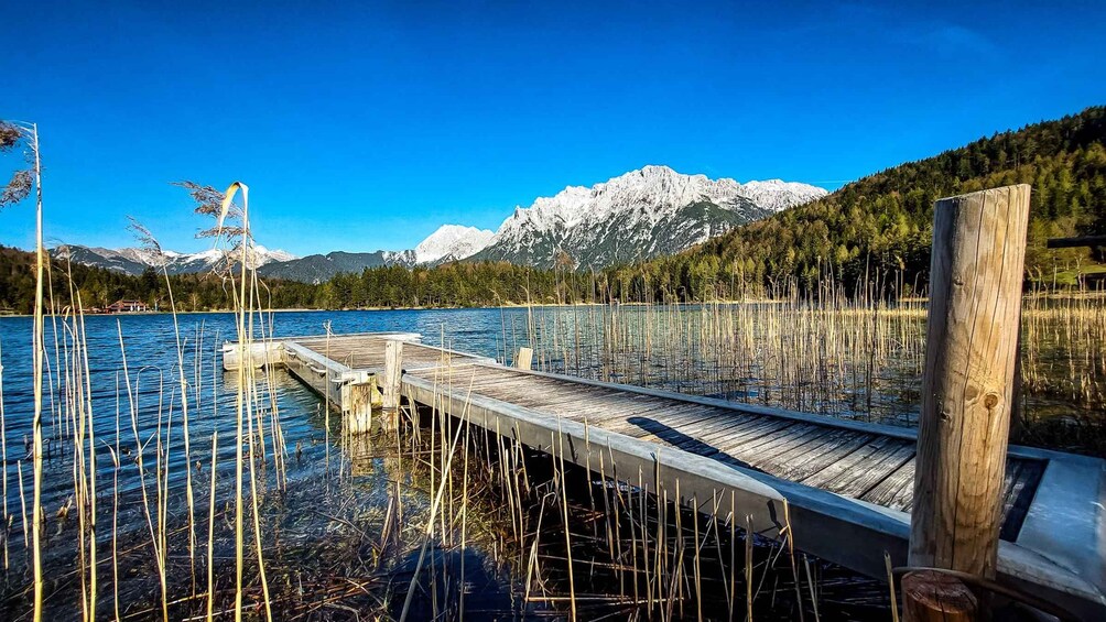 A wooden dock extending into a calm lake with tall reeds in the foreground, surrounded by snow-capped mountains and dense forest under a clear blue sky. 1
