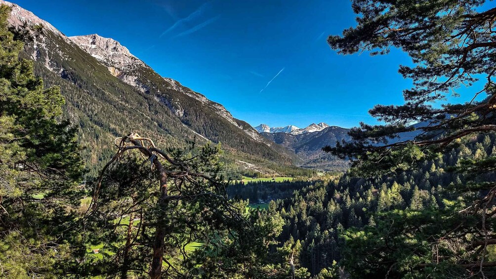 A mountainous landscape with a lake, dense forest, and clear blue sky. 4