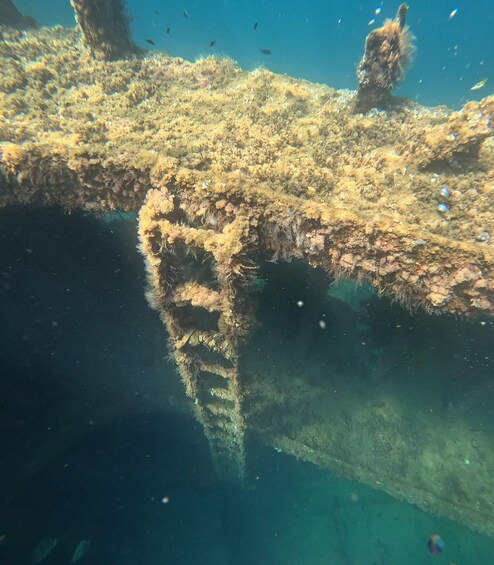 An underwater scene with coral formations and a submerged structure. 4